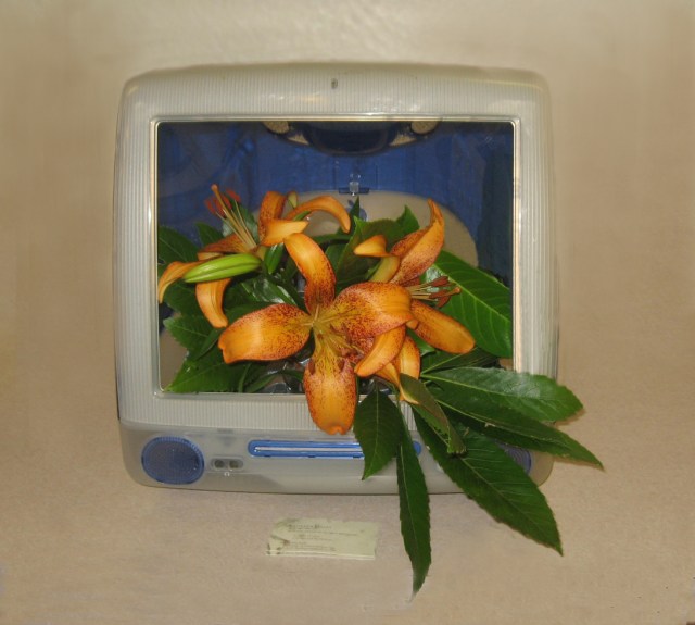 Freestyle Apple Computer